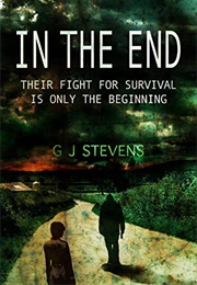 In the End (Gj Stevens)