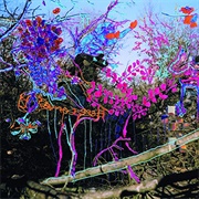 Animal Collective - Here Comes the Indian / Ark