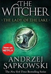 Lady of the Lake (The Witcher, #5) (Andrzej Sapkowski)