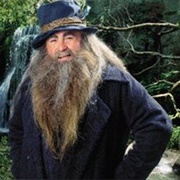 Tom Bombadil