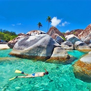 Snorkle in the Caribbean