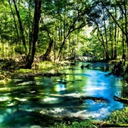 Natural Bridge Battlefield Historic State Park