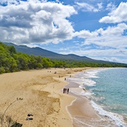 Makena State Park