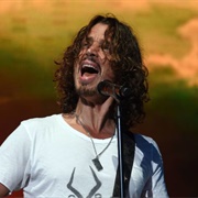 "You've Got to Hide Your Love Away," Chris Cornell (2006)