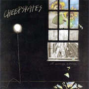 The Cheepskates - It Wings Above