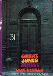 Great Jones Street (Don Delillo)