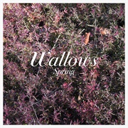 It's Only Right by Wallows