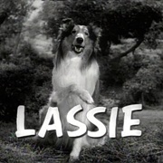 Lassie (1954-1973)