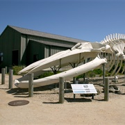 Seymour Marine Discovery Center
