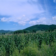 Xinbin Manchu Autonomous County