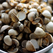 Pickled Cockle