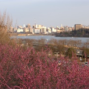 Mito, Ibaraki, Japan