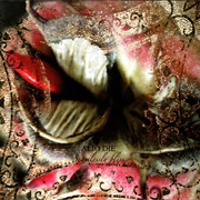 Alio Die - Seamlessly Bliss