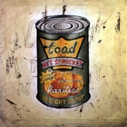 Toad the Wet Sprocket