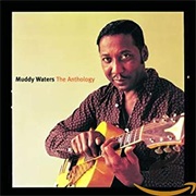 The Anthology - Muddy Waters
