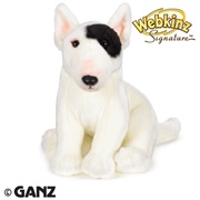Signature Bull Terrier