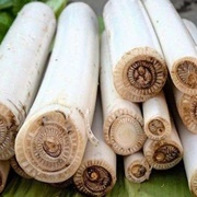 Banana Pith / Banana Stem