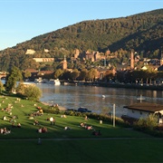 Neckarwiese, Heidelberg
