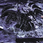 Watcher in the Water