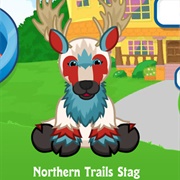 Northern Trails Stag
