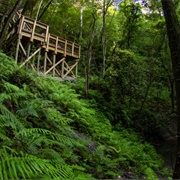 Devil's Millhopper Geological State Park