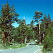 California State Route 4