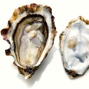 Summerstone Oysters