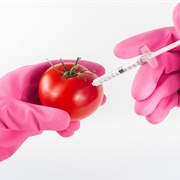 Genetically Modified Foods