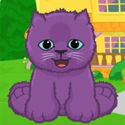 Purple Persian Kitten