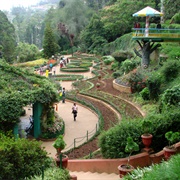 Government Botanical Garden, India