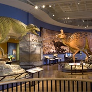 San Diego Natural History Museum