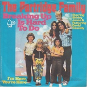 Breaking Up Is Hard to Do .. the Partridge Family