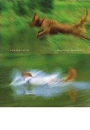 Beautiful Evidence (Edward Tufte)