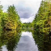 Rice Lake, North Vancouver, BC, Canada