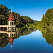 Zealandia Ecosanctuary, Wellington, New Zealand