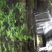 Bedford Reservation‎