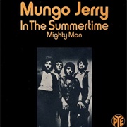 'In the Summertime' by Mungo Jerry