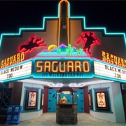Saguaro Theater- Arizona