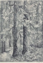 Beyond the Veil: The Etchings of Helen Loggie (Whatcom Museum of History and Art)