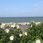 Church Creek, Maryland