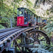 Driving Creek Railway