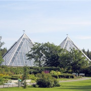 University of Oulu Botanical Gardens, Finland