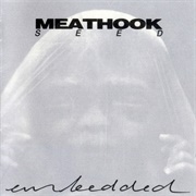 Meathook Seed - Embedded