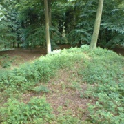Pulpit Hillfort