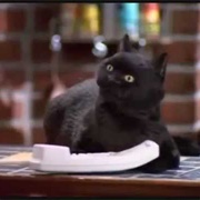 Salem Saberhagen ("Sabrina the Teenage Witch")
