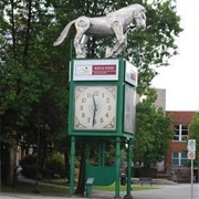 Beast Horse Clock, Maple Ridge, BC, Canada