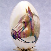 Horse Egg