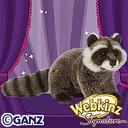 Signature Woodland Raccoon