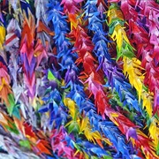 Origami Cranes