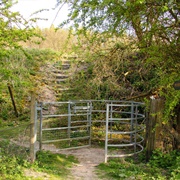 Watlington Chalk Pit